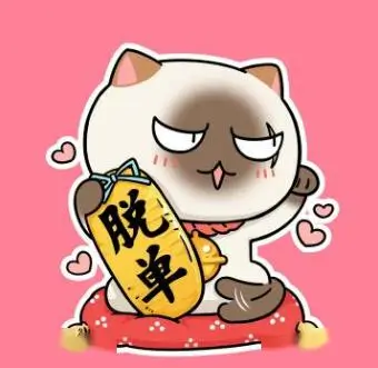 用户 阿岚 的头像